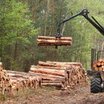 Вологодская область вошла в ТОП-5 регионов по доходам в лесной отрасли