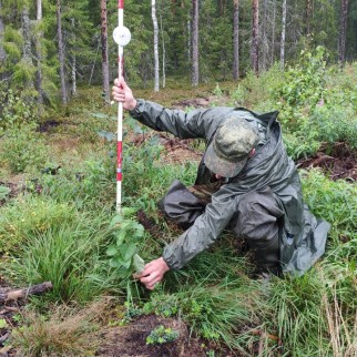 В Вологодской области начали закладывать полигоны для изучения парниковых газов